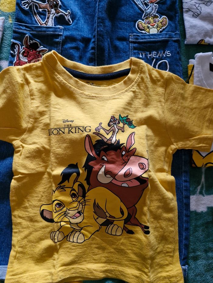 Lot roi lion - photo numéro 6