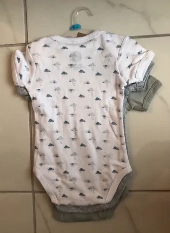 Lot de 3 Bodies manches courtes Sincere coton bio garçon T6 mois neufs ds emballage - photo numéro 2