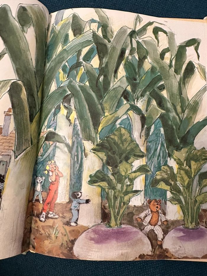 Livre vintage Caroline et le jardin potager ensorcelé Pierre Probst Hachette album - photo numéro 8