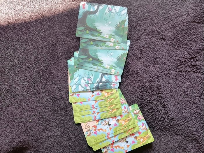 Jeu de cartes de difference - photo numéro 3