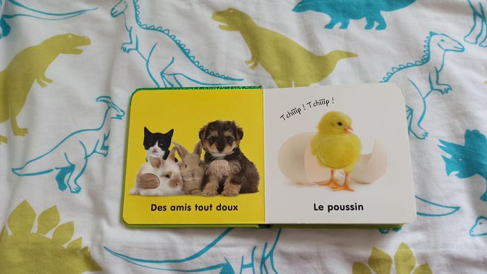 Lot livres Touche à tout - photo numéro 4