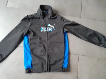 Veste