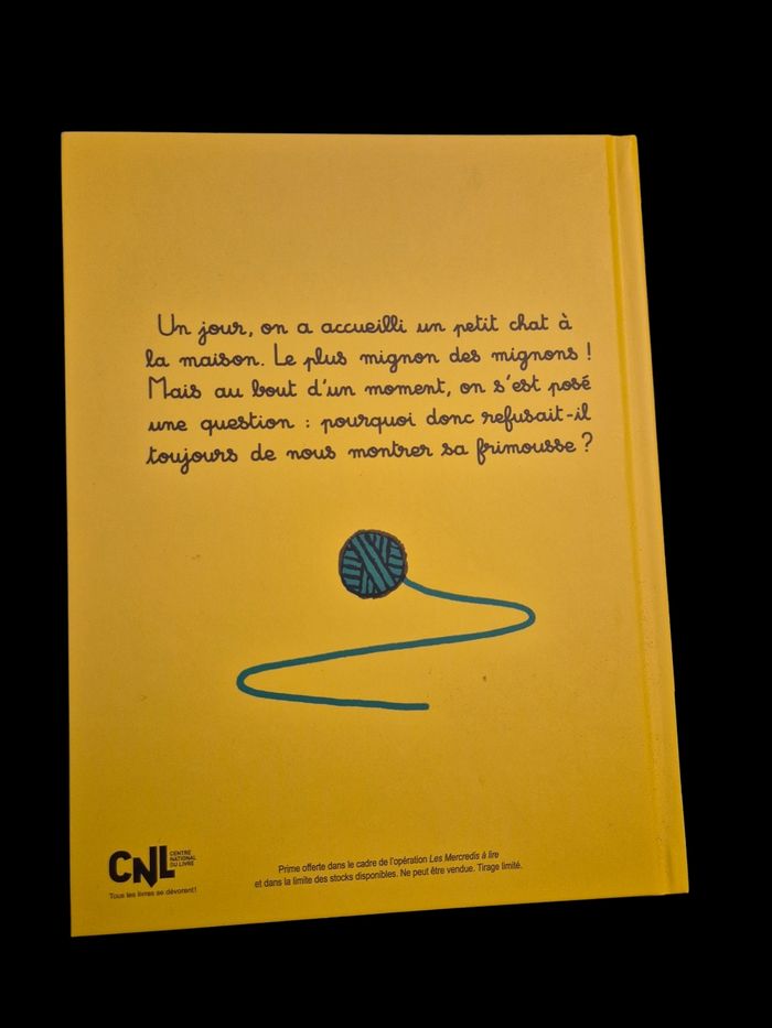 Le chat le plus mignon du monde - Vincent Pianina - Thierry Magnier - Album chaton mystère - photo numéro 2