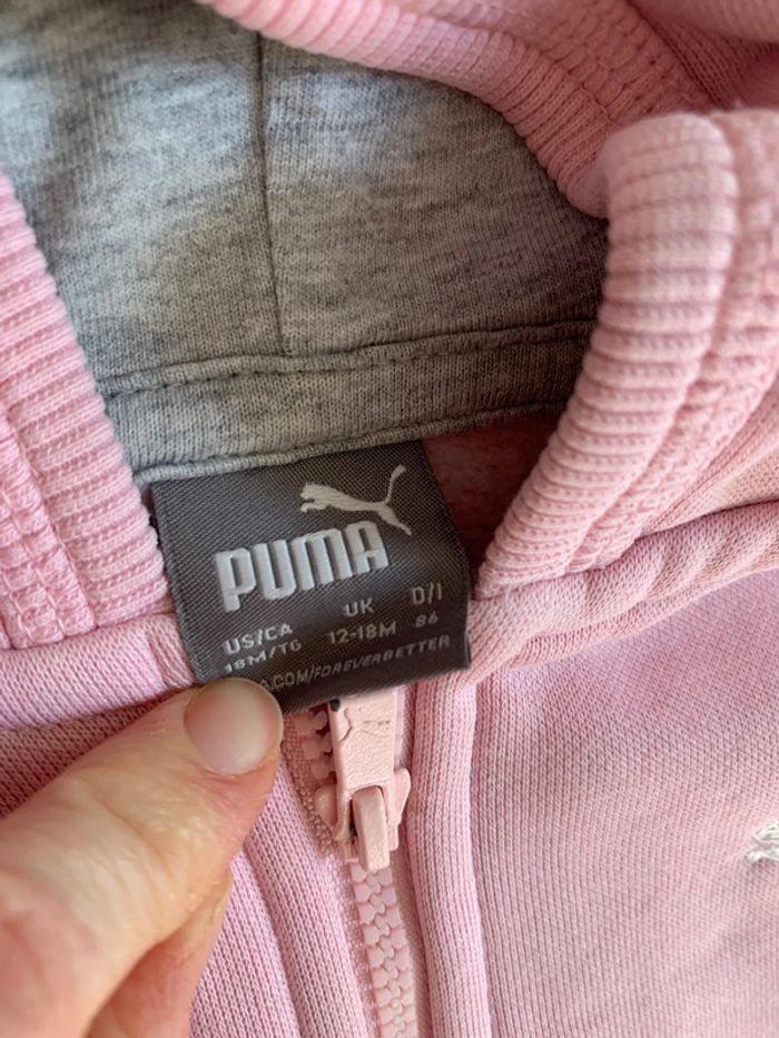 Ensemble puma - photo numéro 4