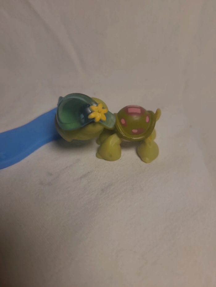 tortue petshop avec son surf - photo numéro 2