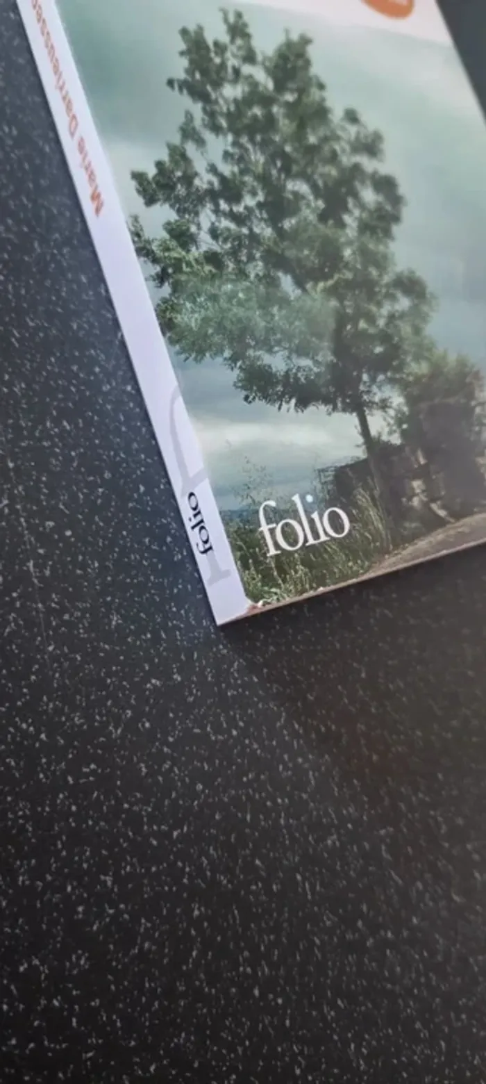 livre: le pays - photo numéro 7