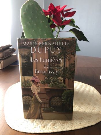 Les lumières de Broadway - Marie Bernadette Dupuy 