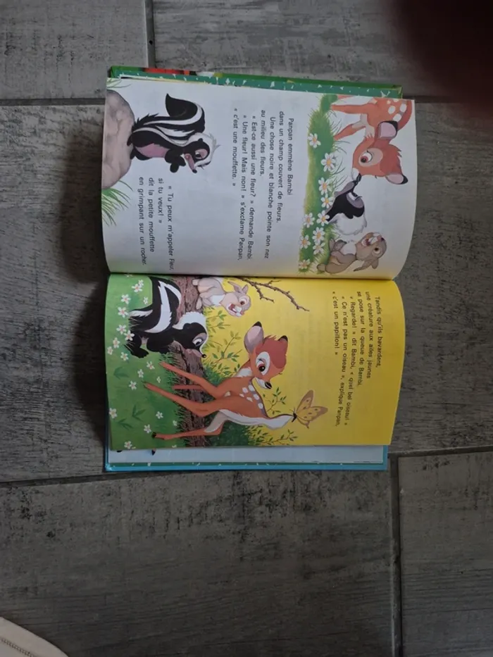 Livre bambi - photo numéro 3