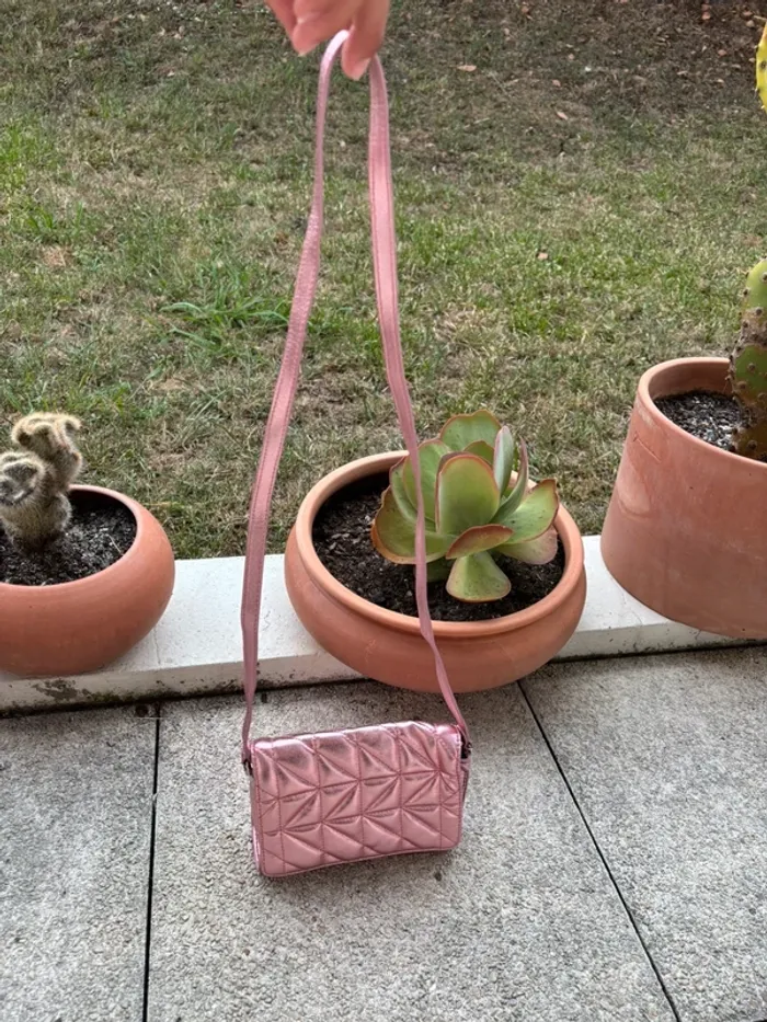 Zac Mango Rose - photo numéro 4