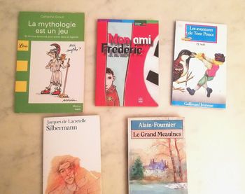 Lot de livres à petit prix
