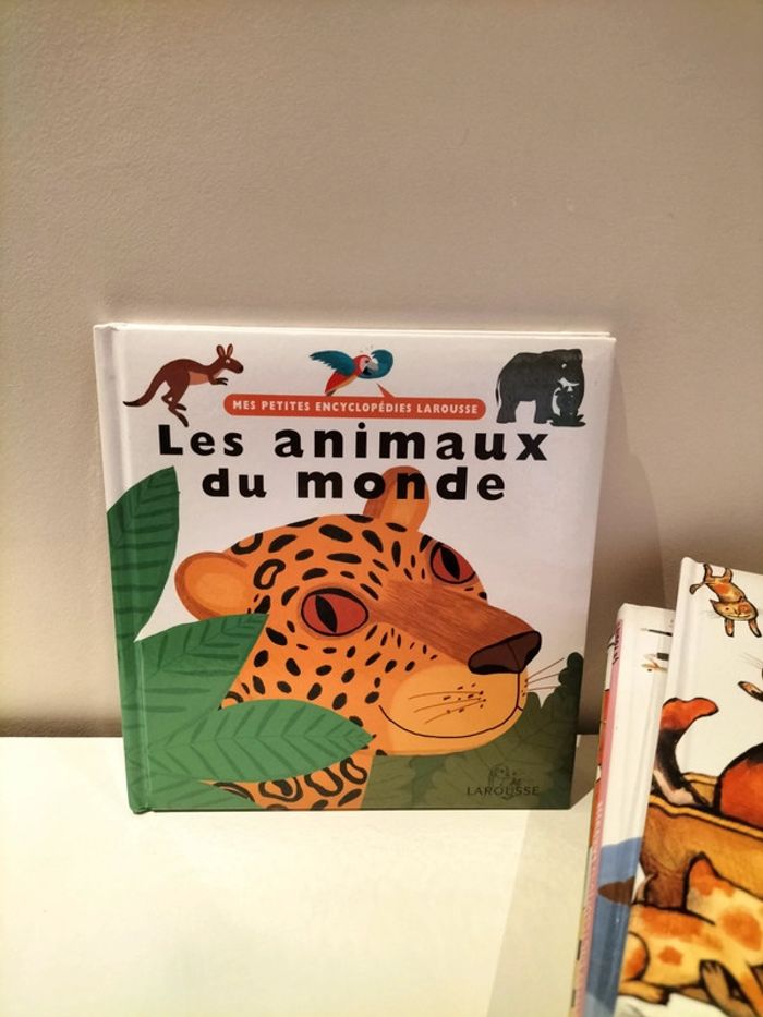 Lot de 8 documentaires Mes petites encyclopédies - photo numéro 11