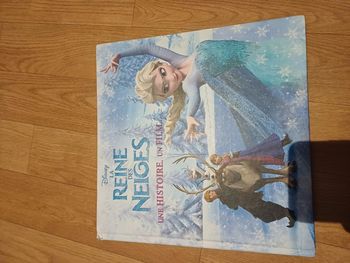 Livre la reine des neiges avec le cd
