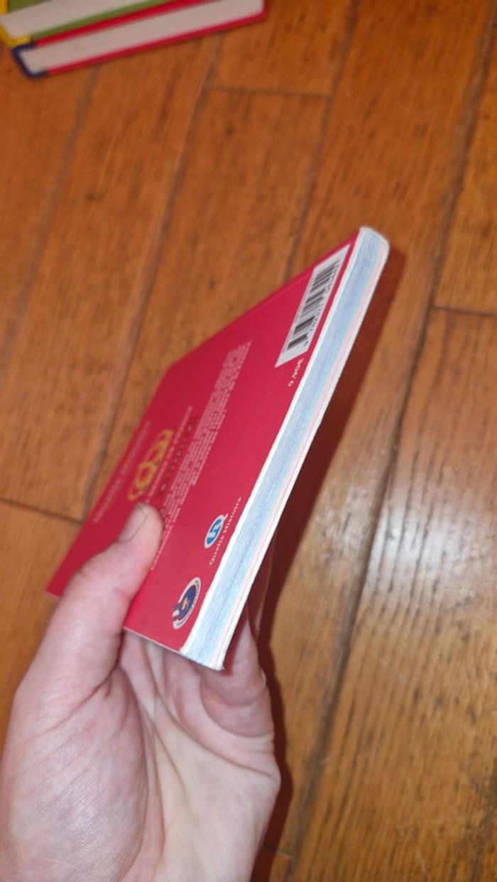 Quelle histoire / les reines de France/ carnet - photo numéro 5