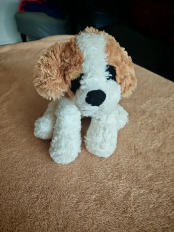 Peluche saint Bernard