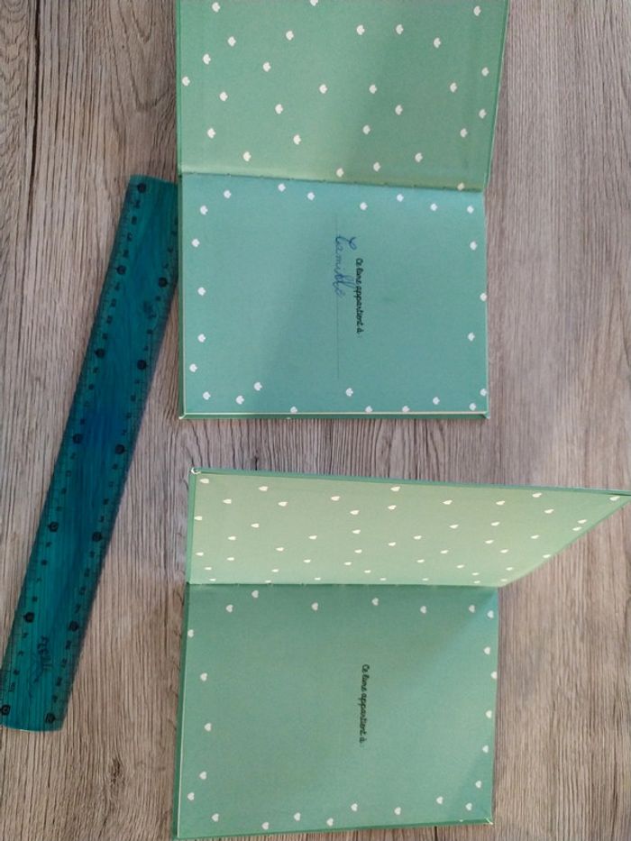 2 petits livres Martine je commence à lire - photo numéro 4