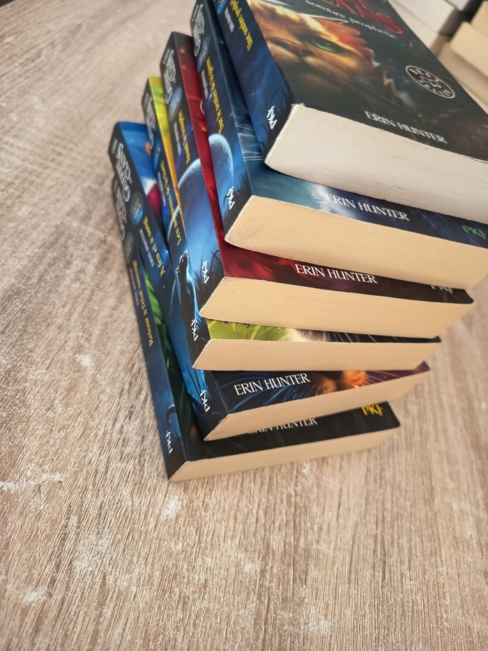 La guerre des clans - photo numéro 8