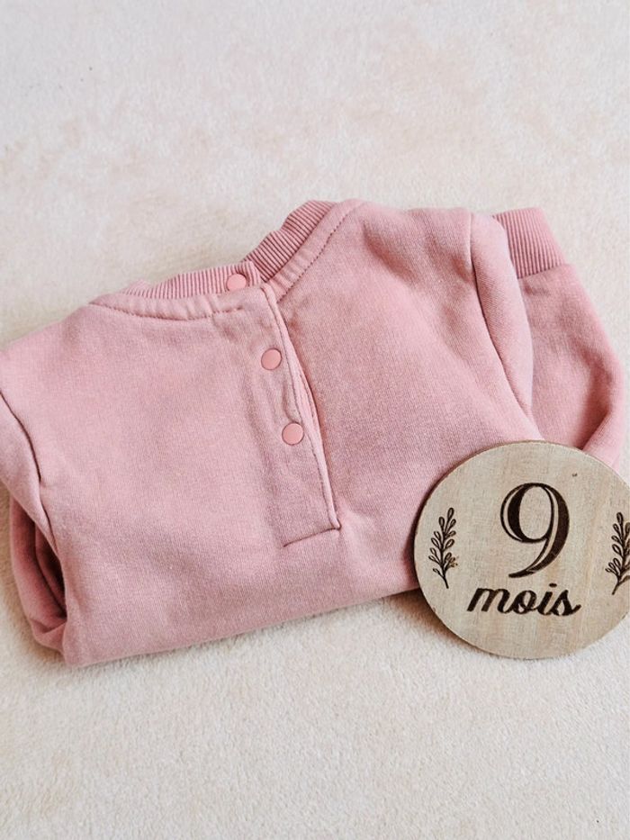 Pull rose orchestra - photo numéro 3