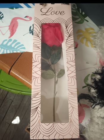Rose éternelle 