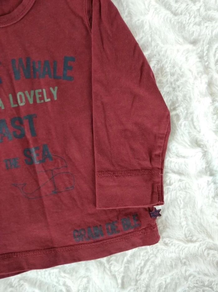 Tee shirt manches longues Garçon 18 mois Baleine Grain de blé 100% coton - photo numéro 5