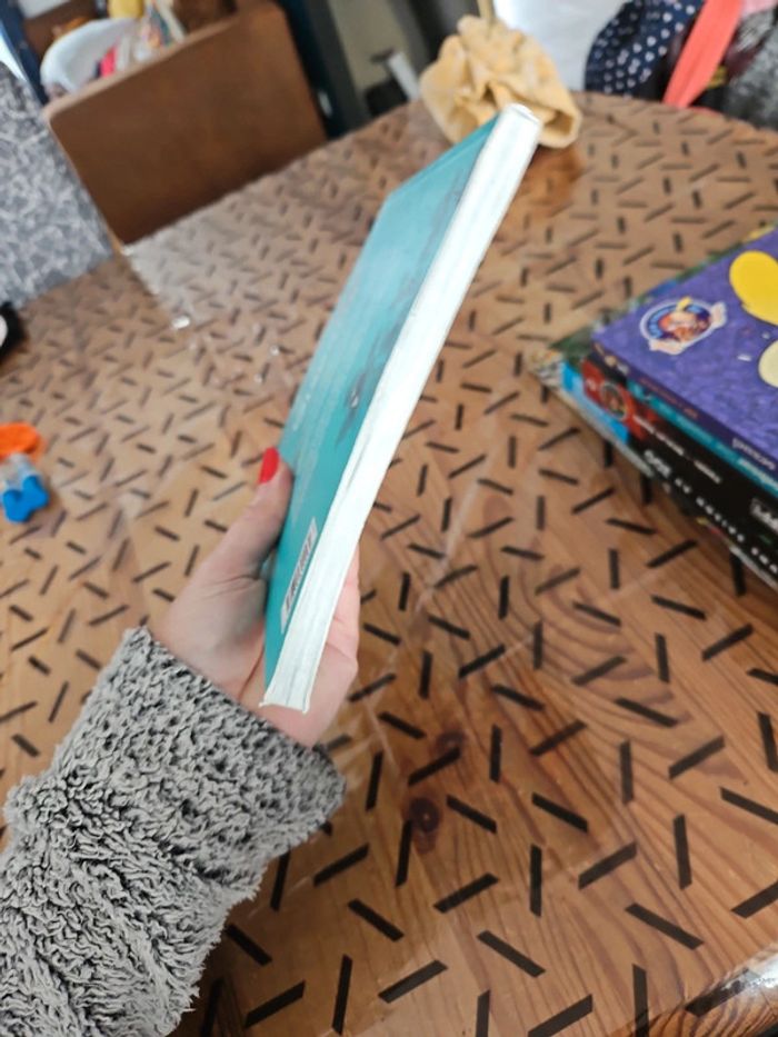 Livre sur les oiseaux - photo numéro 4