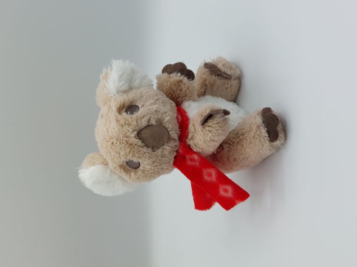 Doudou peluche Koala beige marron blanc PRIMATIS écharpe rouge 18 cm TTBE