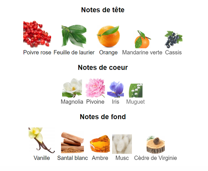 Armand Luxury White "inspi Armani Mania" Eau de Parfum Pour Femme 100 ml - photo numéro 4