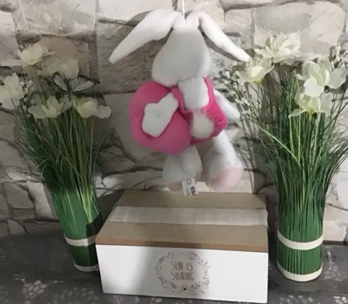 Lapin eluz - photo numéro 3
