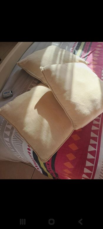 Lot 3coussins
