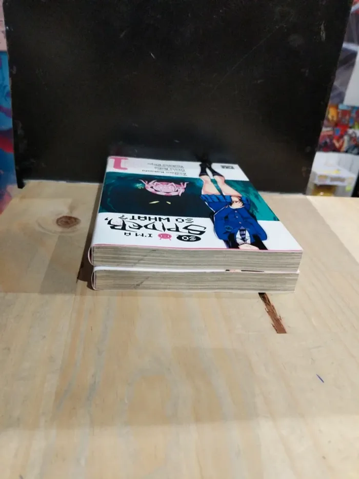 So I'm a Spider, So What – Tomes 1 & 2 - photo numéro 4