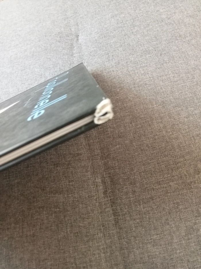 Papillonnelle - photo numéro 3