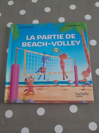 Livre la partie de beach volley 