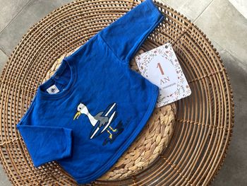 Sweat de la marque, petit bateau en taille 12 mois neuf