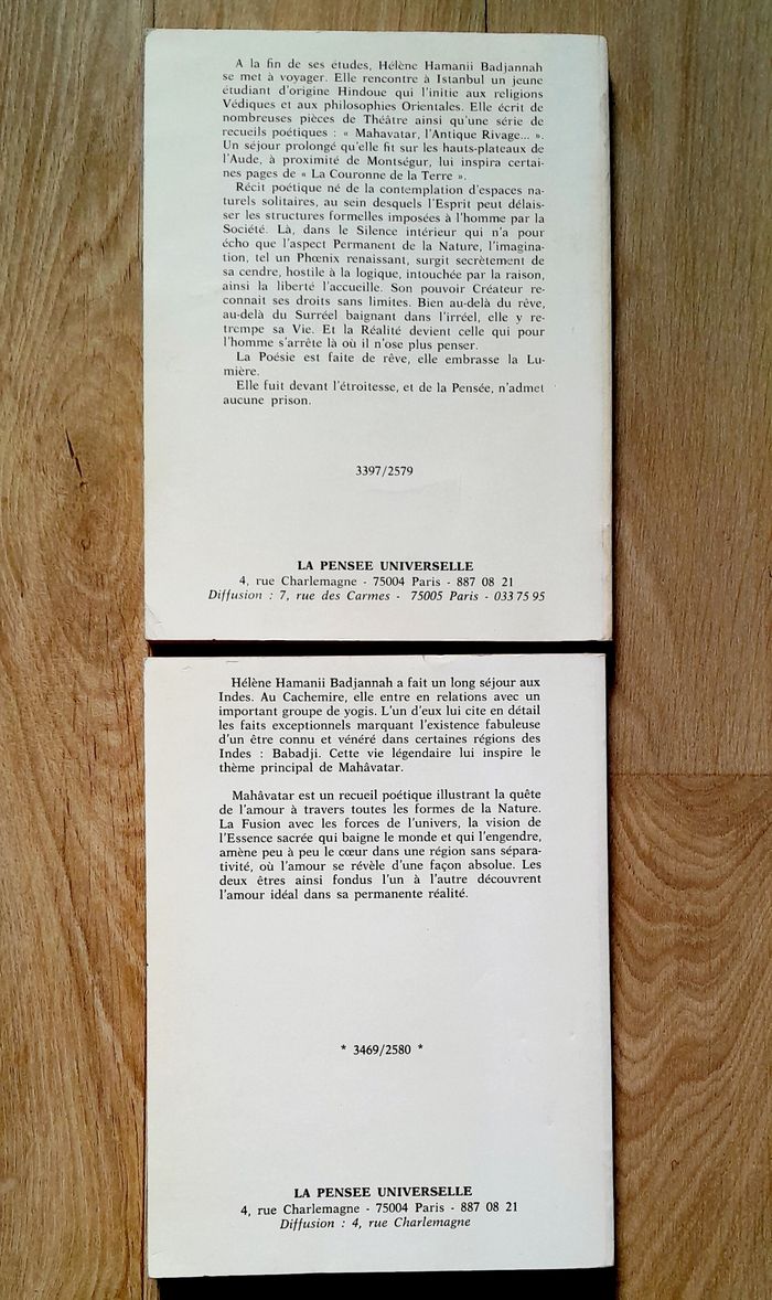 Hélène Hamanii Badjannah - Mahâvatar et la couronne de la terre - photo numéro 5