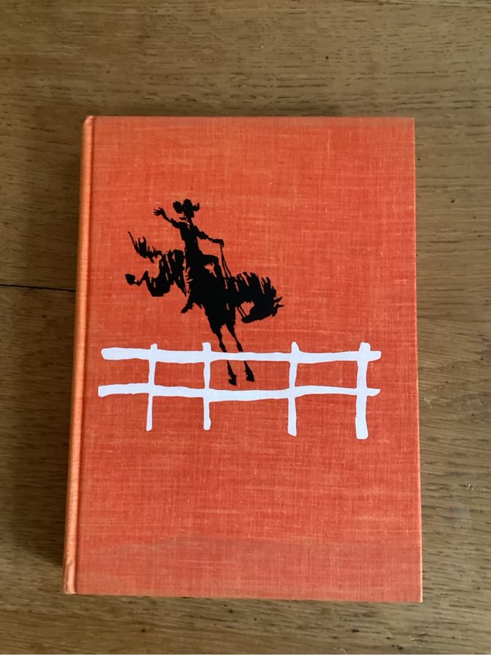 Livre « graine de cow boy » - photo numéro 2