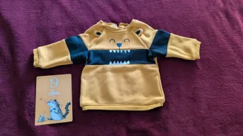 Pull moutarde
