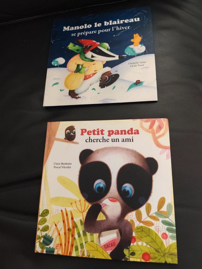 Lot 2 livres enfant mes p'tits albums