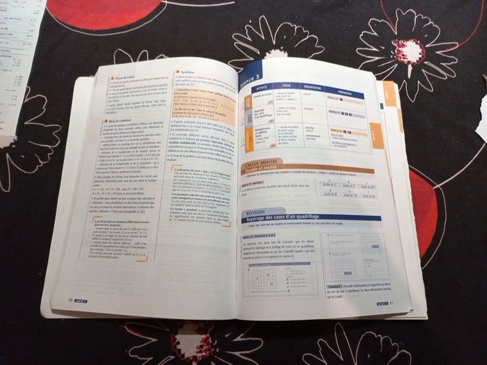 Guide pédagogique Cap Maths ce2 - photo numéro 3