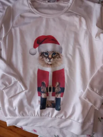 Pull noel chat