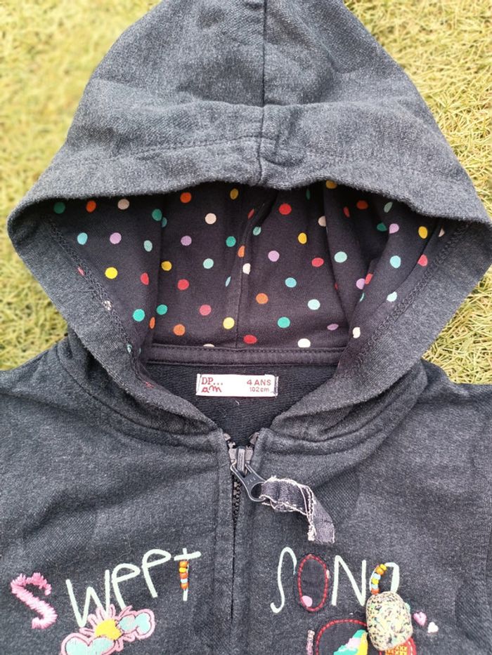 Belle veste à capuche - photo numéro 3