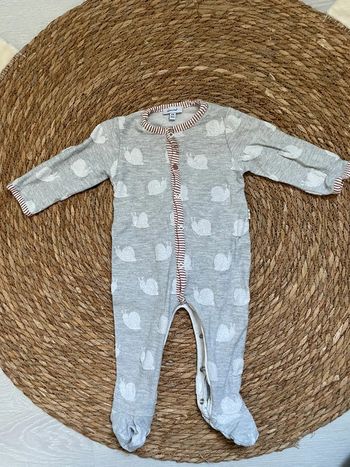 Grenouillère absorba