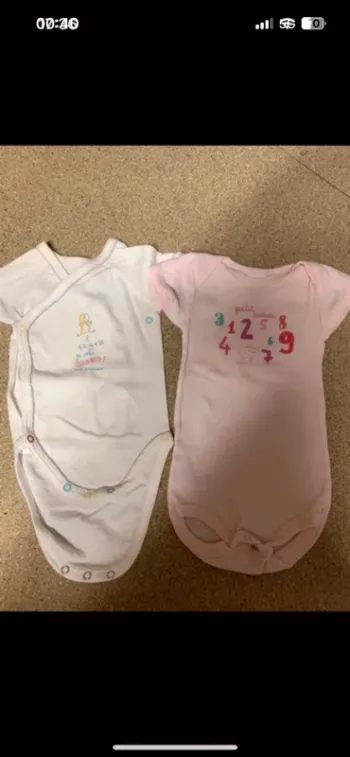 Lot 2 bodies