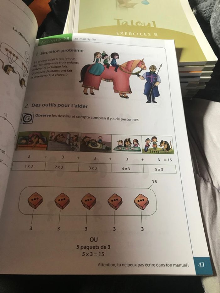 Tatou 1 mathématiques Plantyn - photo numéro 3