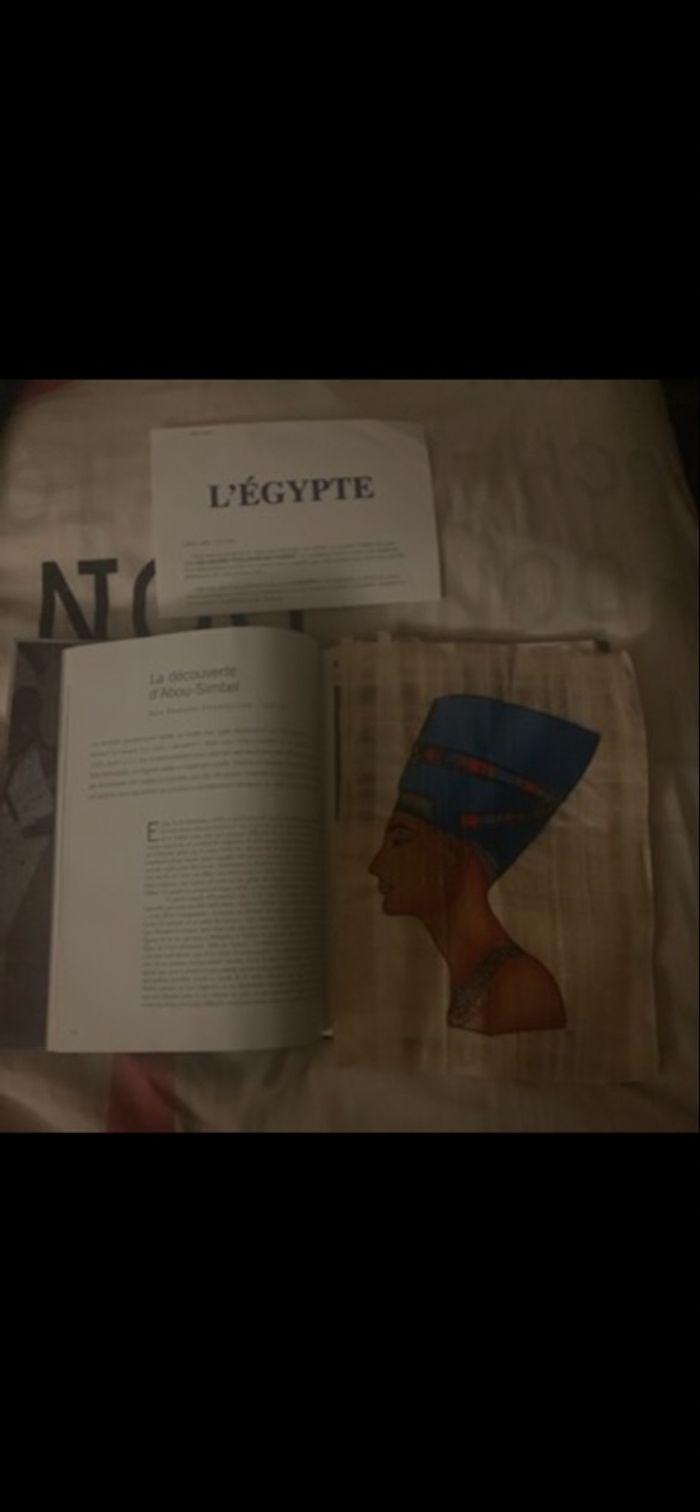 Livre sur les grand voyageurs raconte l’Égypte avec papyrus - photo numéro 3