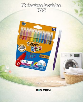 Lot de 12 feutres lavables BIC