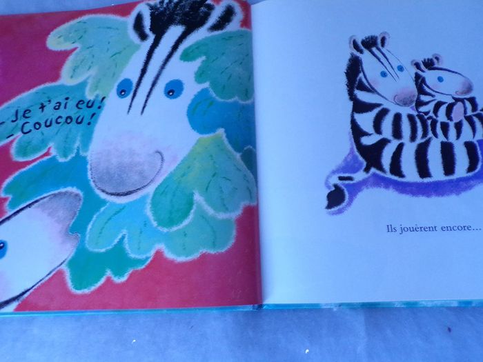 Livre Les aventures de zigzag Canaille ! - photo numéro 2