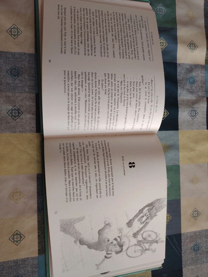 Livre sur le loup - photo numéro 11