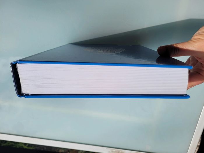 100 ans Le Meilleur des Pieds Nickelés 👣 73 - photo numéro 14