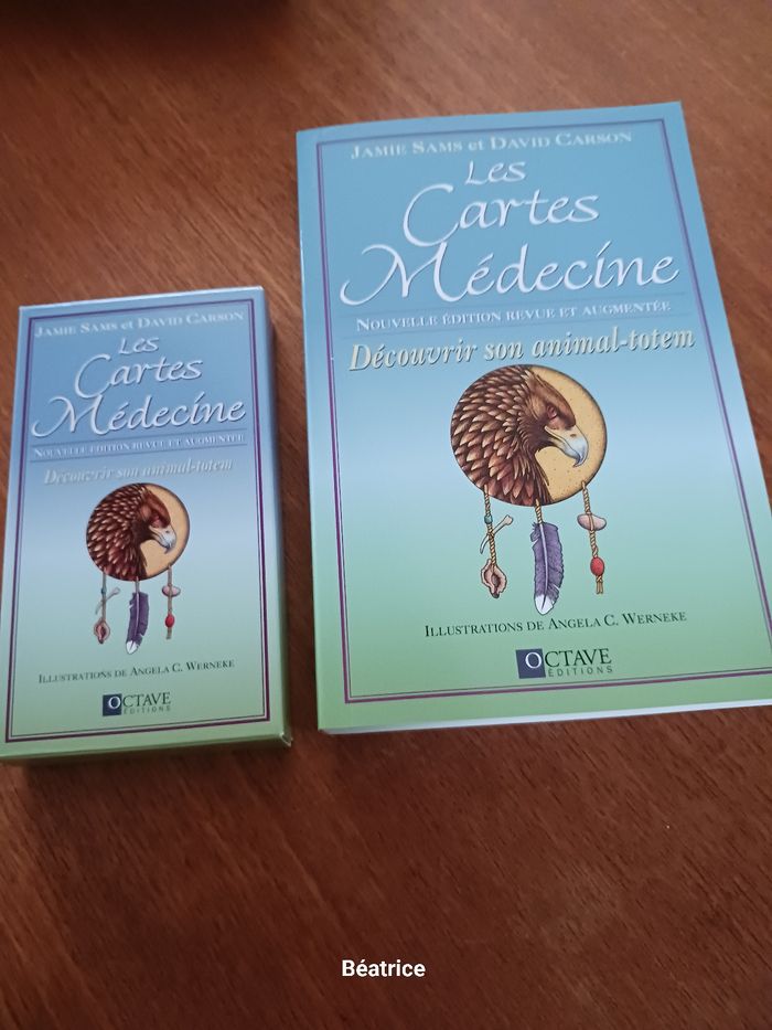 Les cartes medecine - photo numéro 4