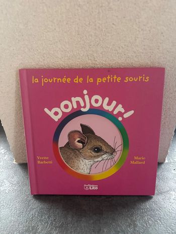 Livre pour apprendre à lire bonjour petite souris