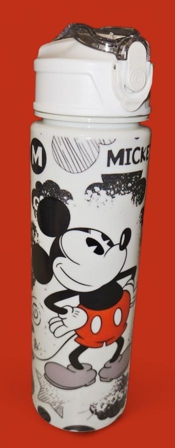 Magnifique gourde de grande capacite disney Mickey